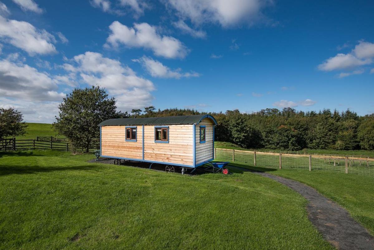 Cow Parsley Shepherd'S Hut Berwick Upon Tweed Eksteriør bilde
