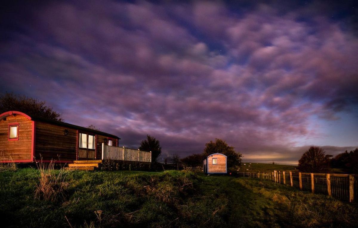 Cow Parsley Shepherd'S Hut Berwick Upon Tweed Eksteriør bilde